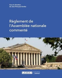 Le règlement de l'assemblée nationale commenté