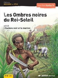 Les Ombres noires du Roi-Soleil