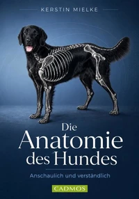 Die Anatomie des Hundes