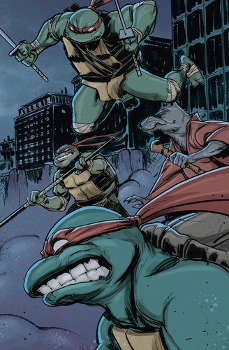 Teenage Mutant Ninja Turtles - Les tortues ninja Intégrale Tome 1