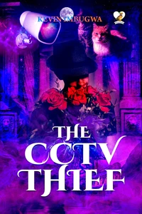 The CCTV Thief