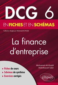 La finance d'entreprise en fiches et en schémas DCG 6