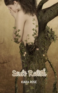 Soul's Rebirth