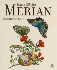 Maria Sibylla Merian