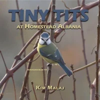 Tiny Tits at Homestead Albania
