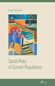 Kinga Petervari - Social Risks of Current Regulations.