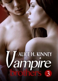 Dark light - The Vampire Brothers 3