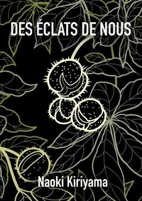 Des éclats de nous