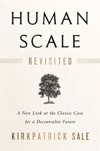 Human Scale Revisited