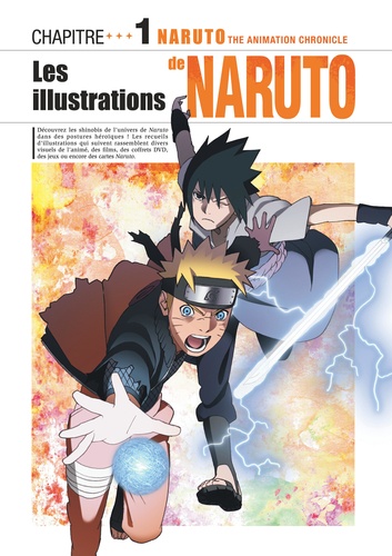 Naruto The Animation Chronicle