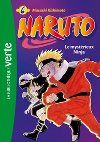 Le mystérieux ninja