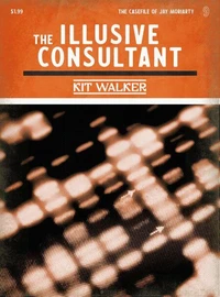 The Illusive Consultant
