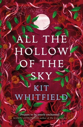 All the Hollow of the Sky. An enthralling novel of fae, folklore and forests