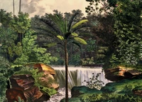 Puzzle Cascade (1000 pièces)