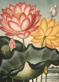 Puzzle Fleurs (1000 pièces)