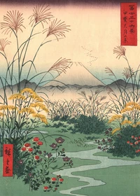 Puzzle Mont Fuji champ (1000 pièces)