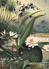 Puzzle Nénuphars (1000 pièces)