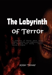  Kizer Tlovef - The Labyrinth of Terror: A Collection of Stories about Serial Killers, Mysteries, and Nightmares that Will Challenge Your Sanity - Horror Stories in English.