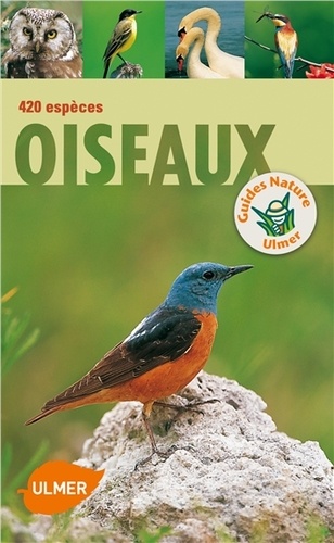 Oiseaux