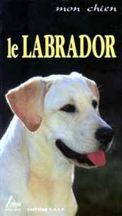 Le labrador