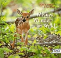 Kleines Wunder im Wald - Ein fotografisches Märchen.