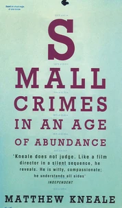 Small Crimes in an Age of Abundance