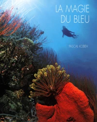La Magie Du Bleu