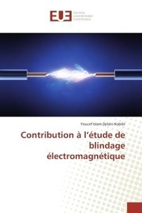 Kobibi youcef islam Djilani - Contribution à l'étude de blindage électromagnétique.