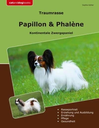 Traumrasse Papillon &amp; Phalène