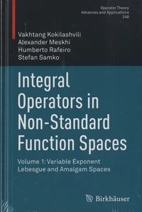 Integral Operators in Non-Standard Function Spaces