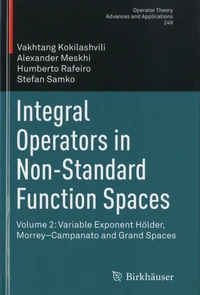 Integral Operators in Non-Standard Function Spaces
