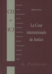 La Cour internationale de Justice