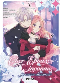 Cher époux inconnu, je veux divorcer - Tome 5