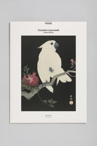 Cacatoès et grenade (1925-1936)
