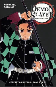 Coffret en 6 volumes : Tomes 7 à 12