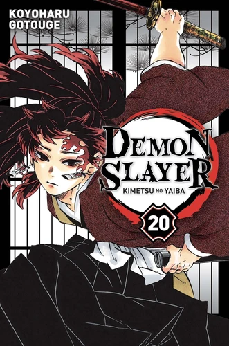 Couverture de Demon Slayer n° 20 Demon slayer : kimetsu no yaiba : 20