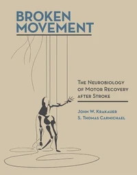 Broken Movement