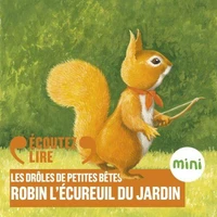 Robin l'écureuil du jardin