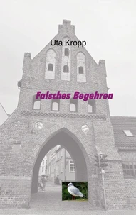 Falsches Begehren