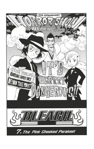 Bleach -  T01 - Chapitre 07