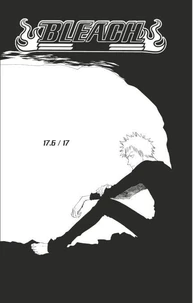 Bleach - T03 - Chapitre 17