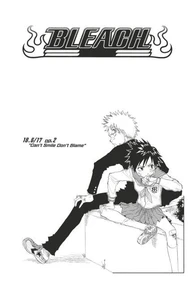 Bleach - T03 - Chapitre 18