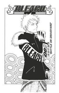 Bleach - T03 - Chapitre 22