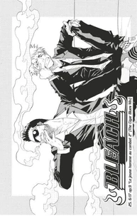 Bleach - T03 - Chapitre 25