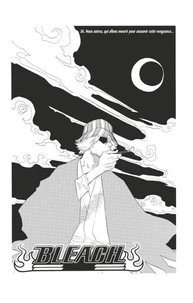 Bleach - T05 - Chapitre 36