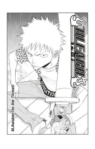 Bleach - T06 - Chapitre 44