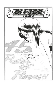 Bleach - T06 - Chapitre 45