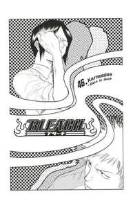 Bleach - T06 - Chapitre 46