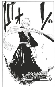 Bleach - T09 - Chapitre 74