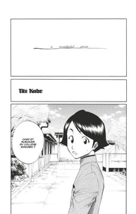 Bleach - T12 - Chapitre 0.8